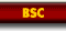 BSC